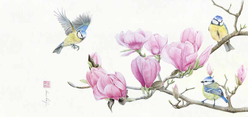 "Blue Tit Birds and Magnolia" watercolor 9 x 16, 2017
